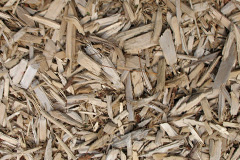 biomass boilers Holdenby